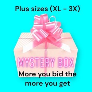 Women’s plus size clothes, and accessory mystery box